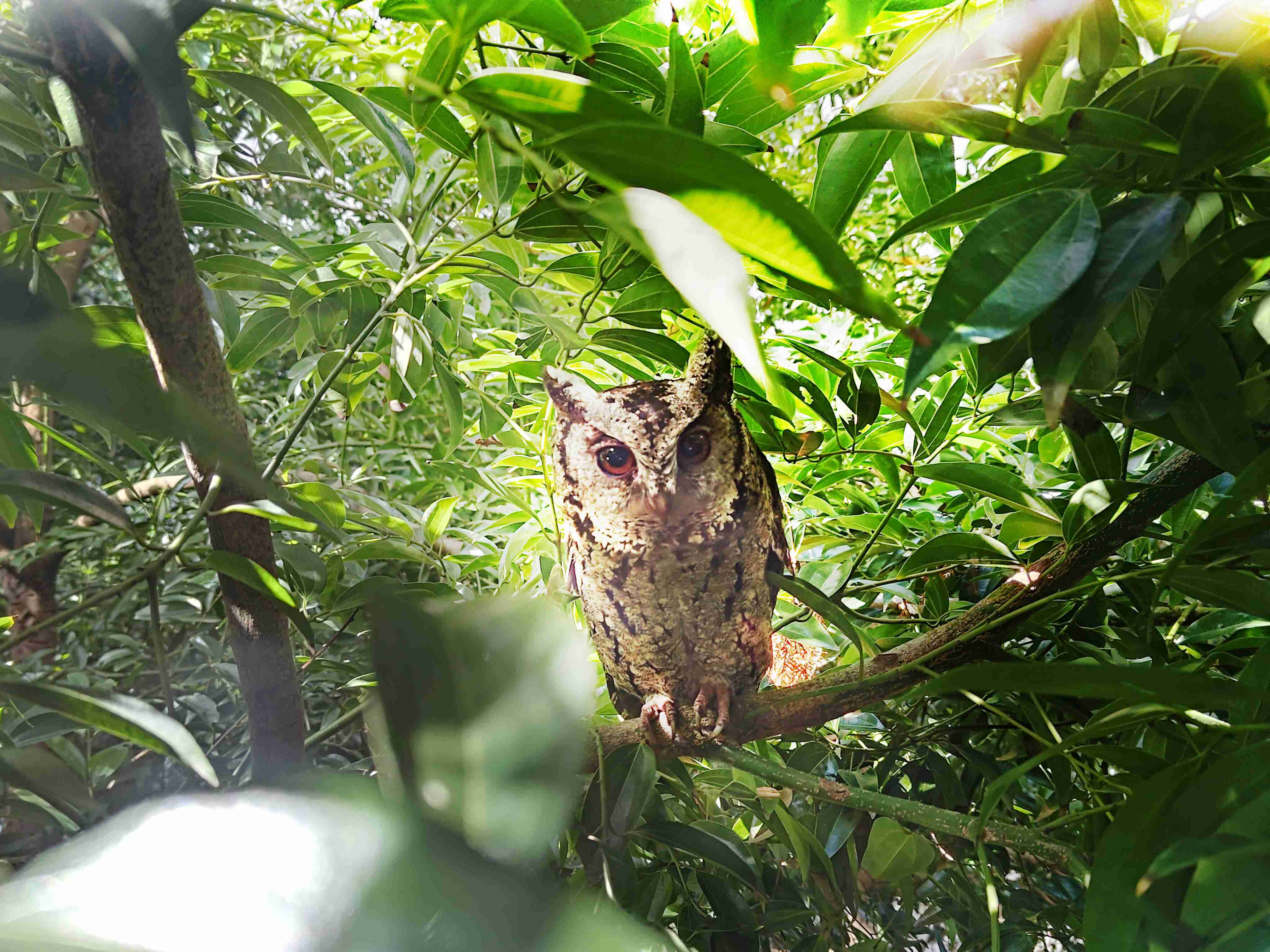 尊龙z6致力提倡净零绿生活，，，16年以来在全球各厂区植树逾百万棵，，，，造就各厂区树木蔚然成林，，，，犹如森林工厂，，，，成为许多生物的栖息地